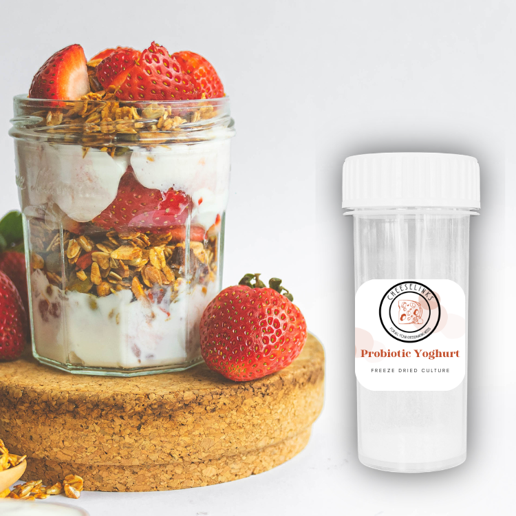 Probiotic Greek Yoghurt Starter Cheeselinks
