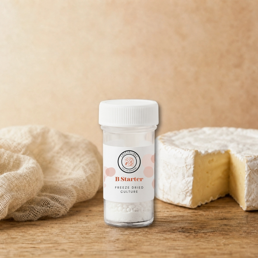 B Starter - Cheeselinks