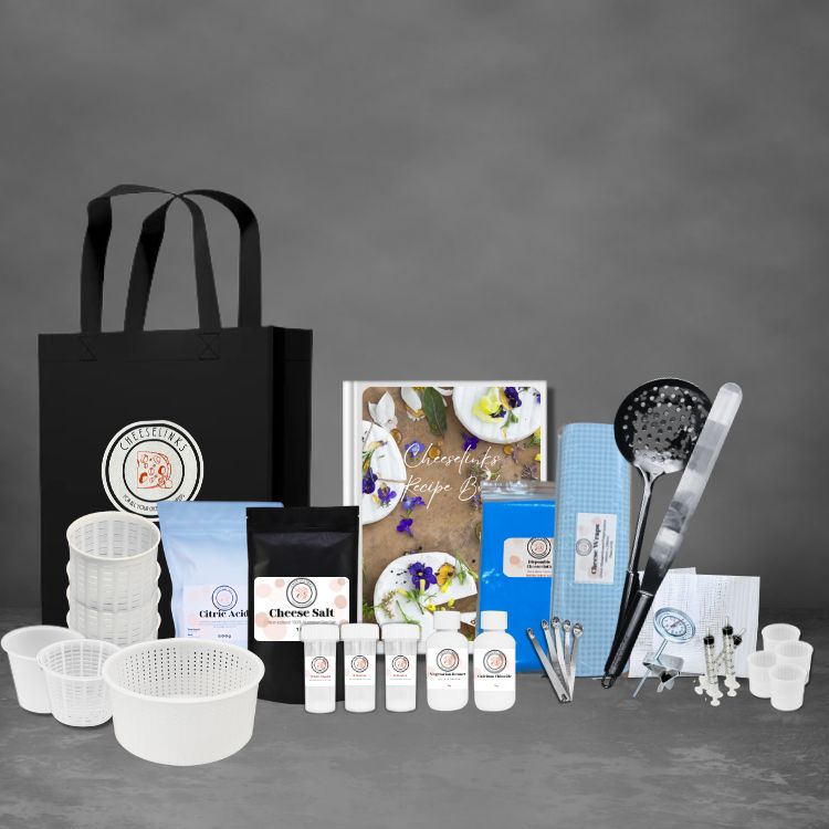 Cam Brie Curd Knife And Scoop Cheesemaking Kit