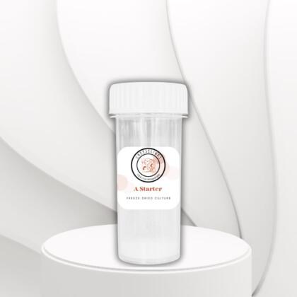 A Starter 250l