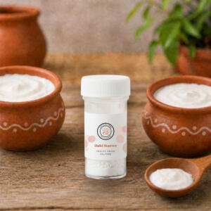 Dahi Starter - Cheeselinks