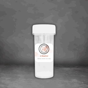 `a Starter Starter 250l