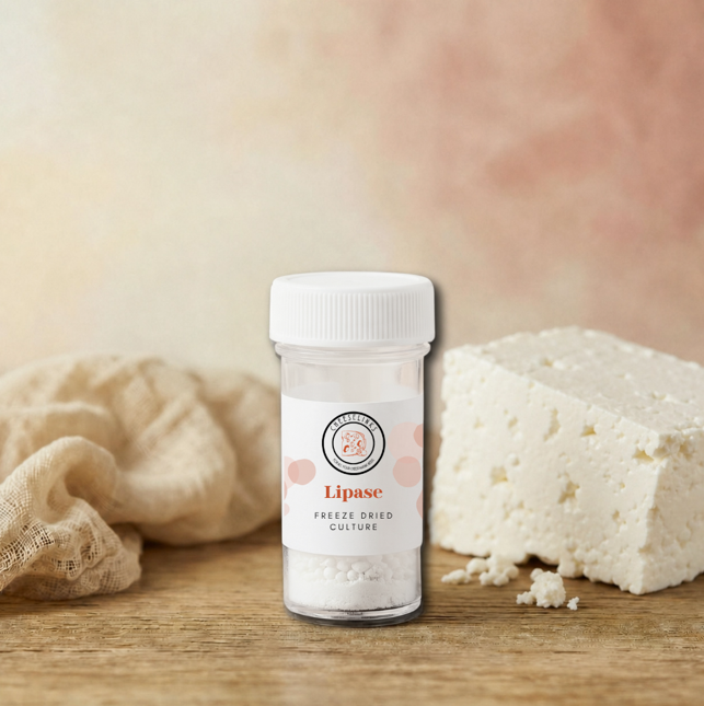 Lipase 20g cheeselinks