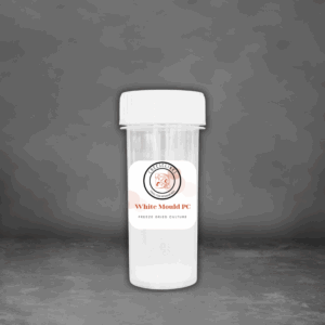 White Mould Starter 250l