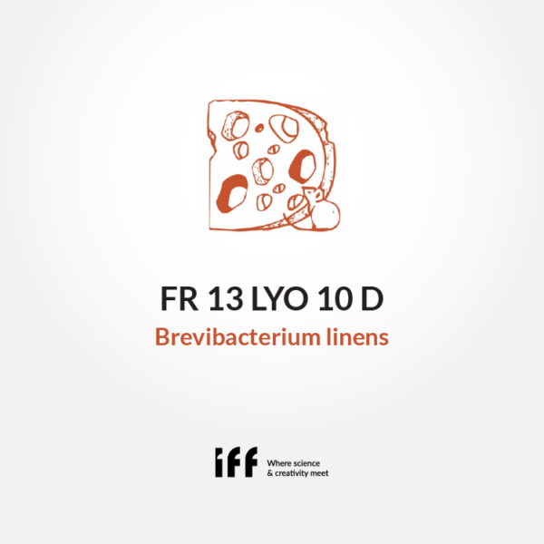 Cheeselinks-fr-13lyo-10d-brevibacterium-linens