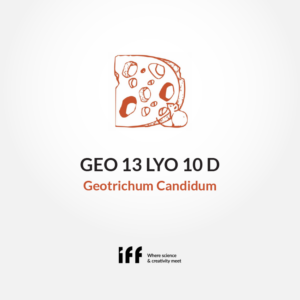 Cheeselinks-geo-13-lyo-10d-geotrichum-candidum