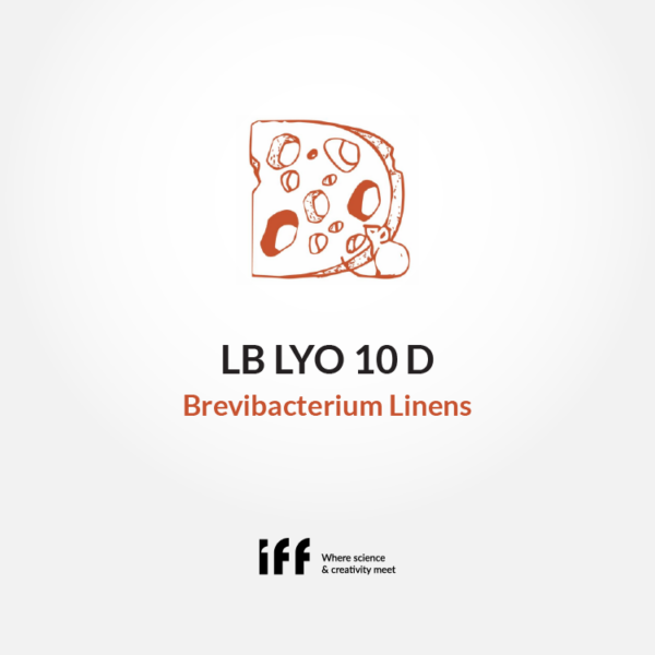 Cheeselinks-lb Lyo 10 D-brevibacterium Linens