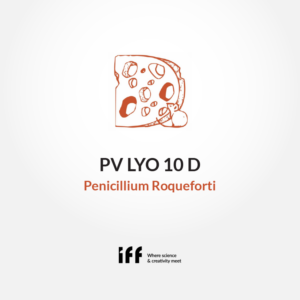 Cheeselinks-pv-lyo-10d-penicillium-roqueforti