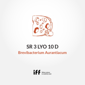 Cheeselinks-sr-lyo-10d-brevibacterium Aurantiacum