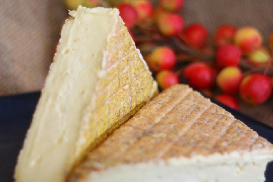 Washed rind cheesemaking