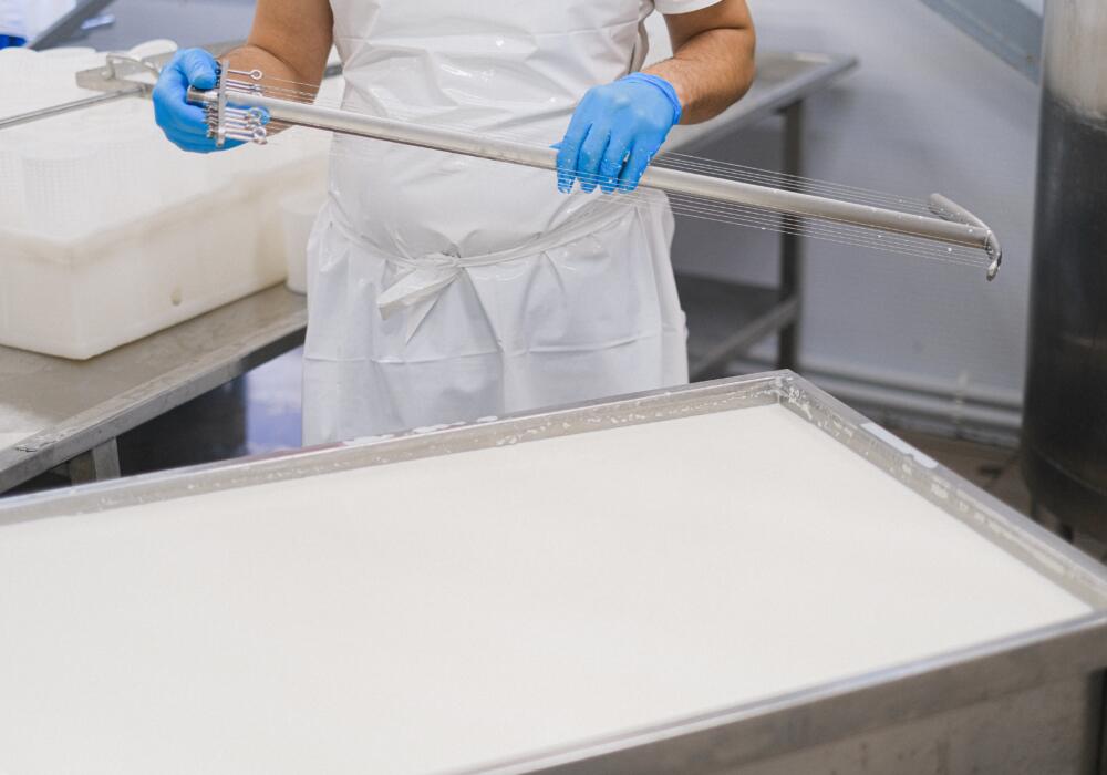 Photo by Anna Shvets: https://www.pexels.com/photo/close-up-of-person-working-in-cheese-factory-5953798/