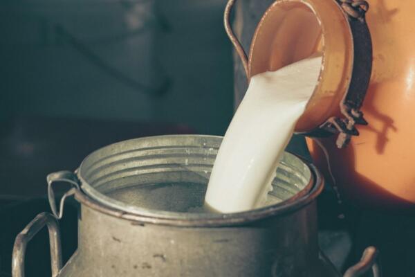 Milk Matters - Cheeselinks