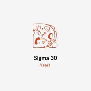 Sigma 30 - Cheeselinks