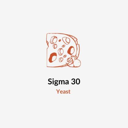Sigma 30 - Cheeselinks