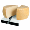 Parmesan Cutter