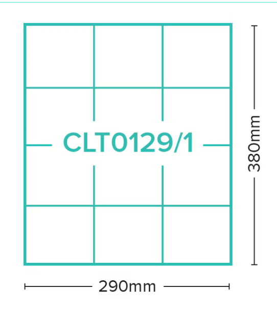 Ice Gel Ice Pack | 12 Cells 800 Grams | 25/CTN
