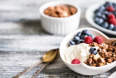 Cheeselinks Australia Yoghurt Making